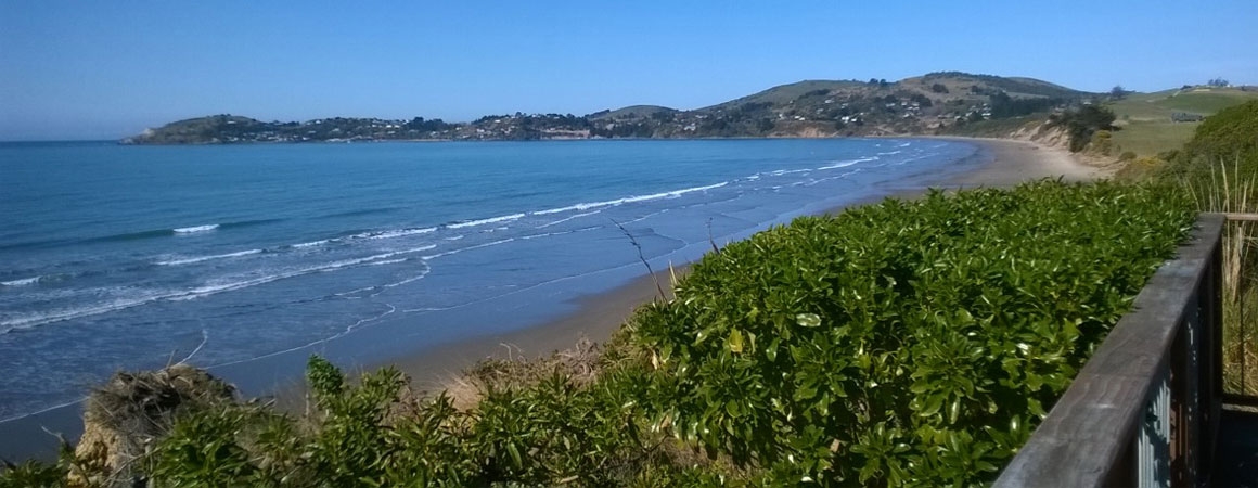 beautiful beaches of Otago